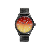 AVION COLOR EDITION